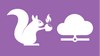Squirrel SSH Remote Access